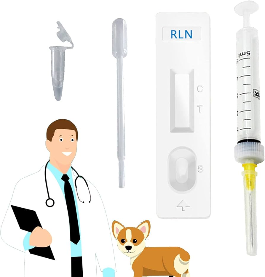 How Much is a Pregnancy Test for Dogs? (Prices & Options)