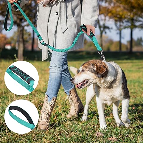 Best Floating Leash for Dogs? Top Picks for Swimming Safety.