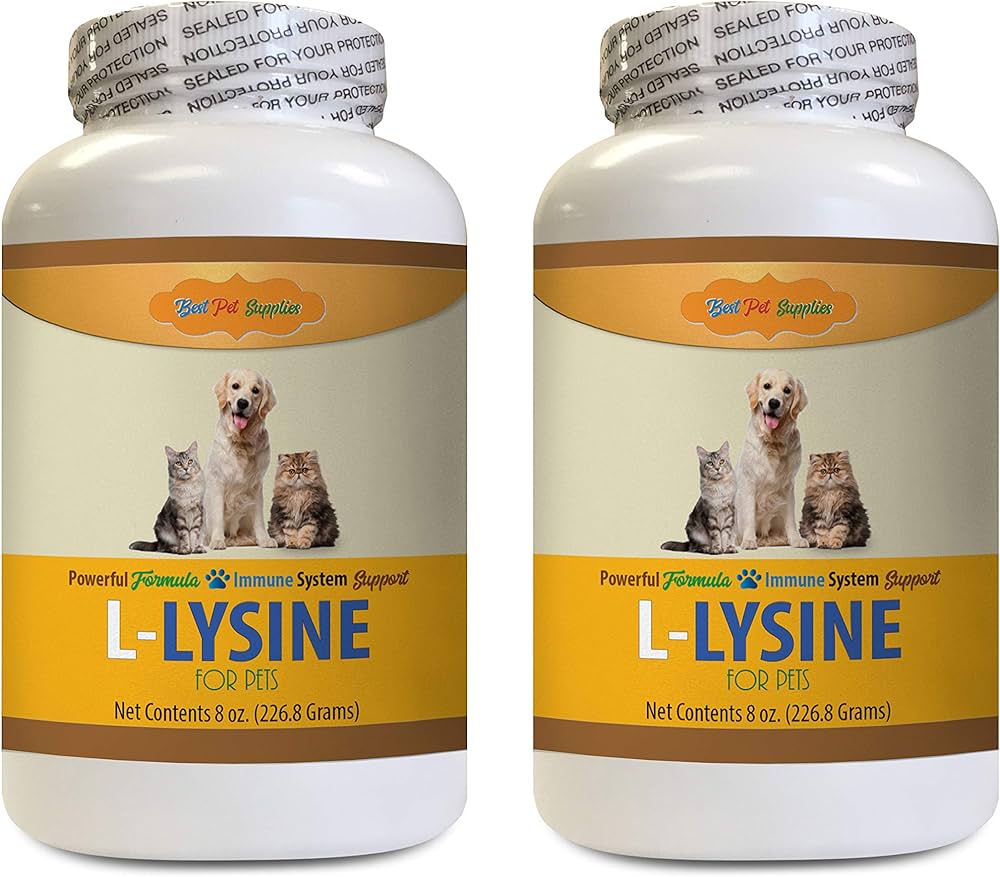 Lysine for dogs: Help your dog fight against the disease!