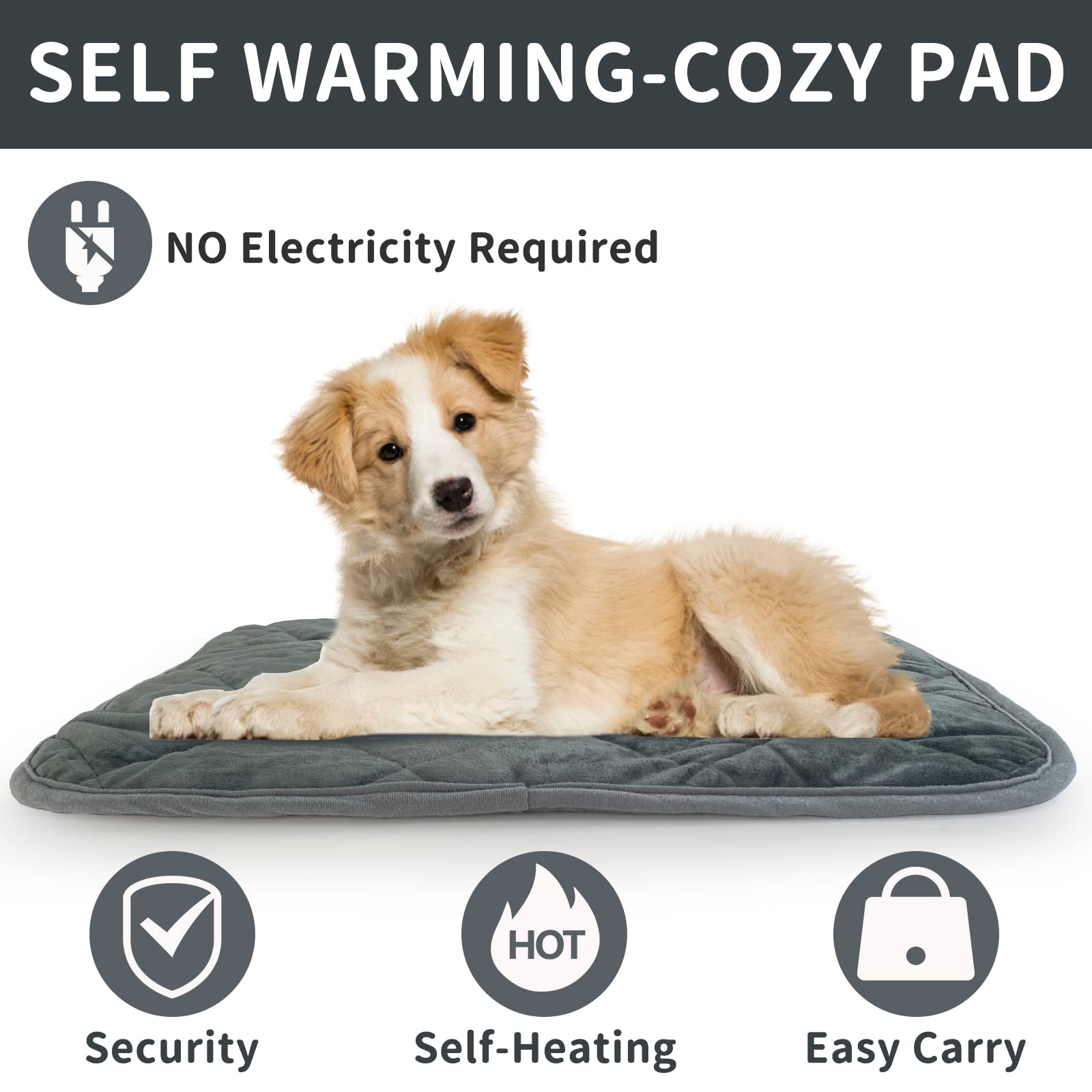 Best Self Warming Pad for Dogs? Cozy Comfort All Year!