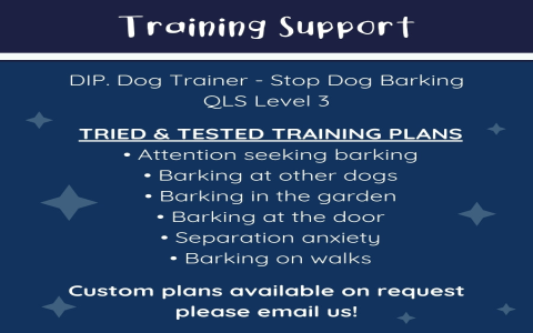 Stop the Barking: Solutions for Dogs Who Bark at Others on Walks.