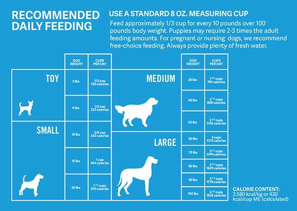 Feeding Guide: Am I Feeding My Dog Too Much or not enough?