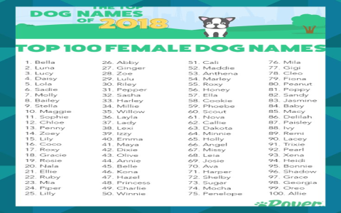 Boy & Girl Dog Names Starting with J: Find the Perfect Name!