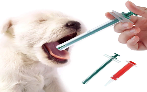 Pill Plunger for Dogs: The Quick & Easy Way to Medicate!