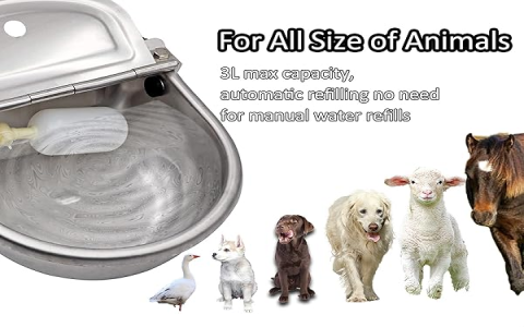 Best Auto Waterer for Dogs? (Easy Guide for Fresh Water)