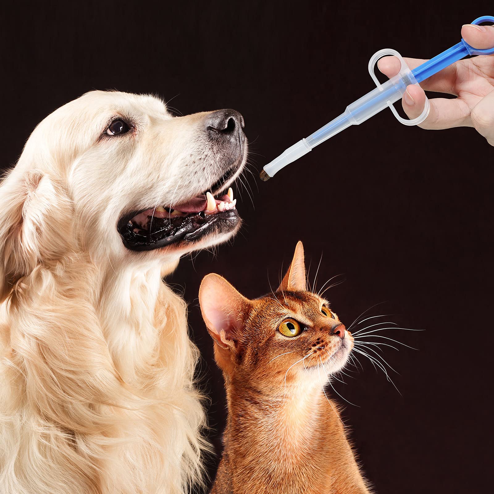 Pill Plunger for Dogs: The Quick & Easy Way to Medicate!