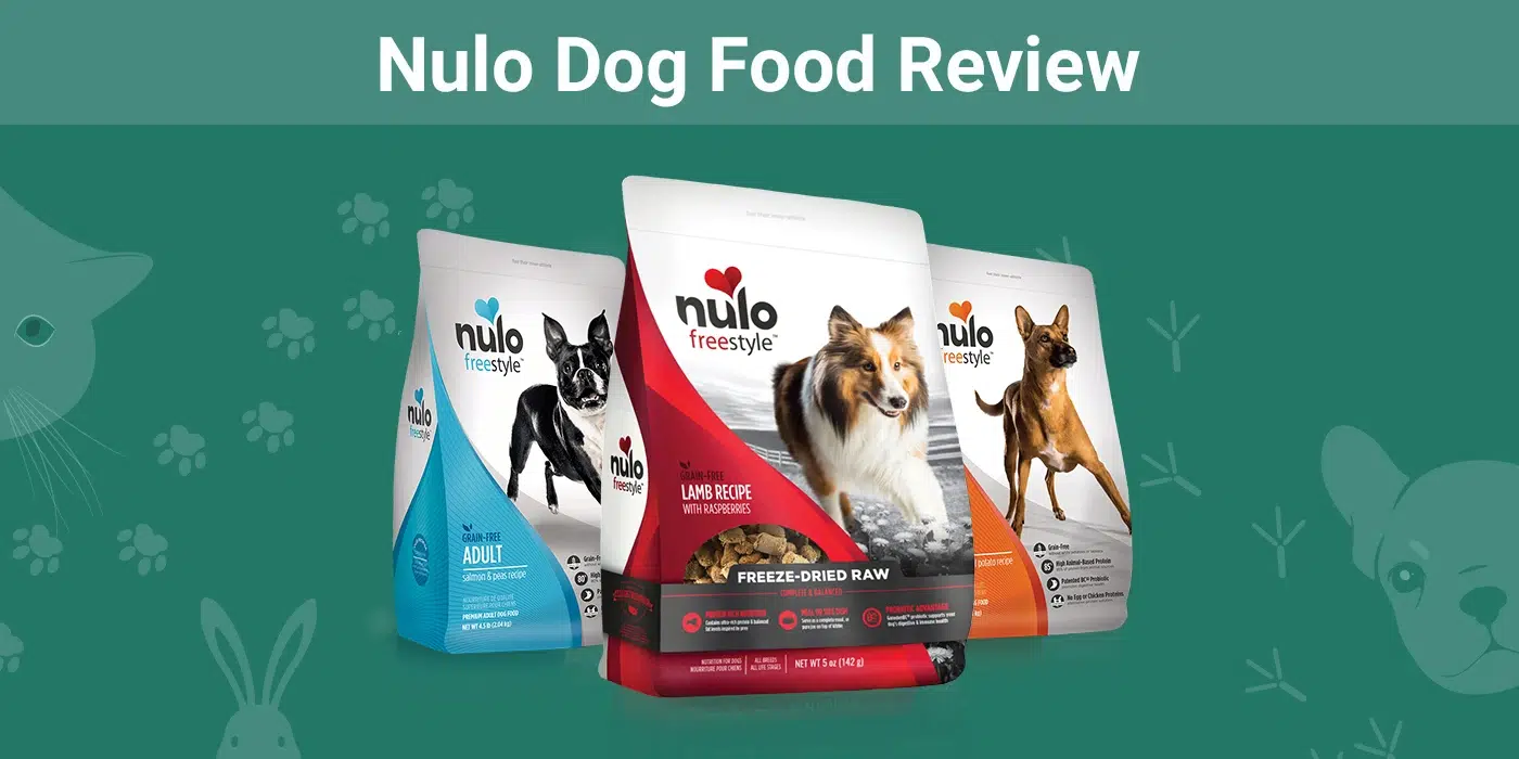 Nulo Sensitive Stomach Dog Food: Ingredients & Benefits Breakdown.