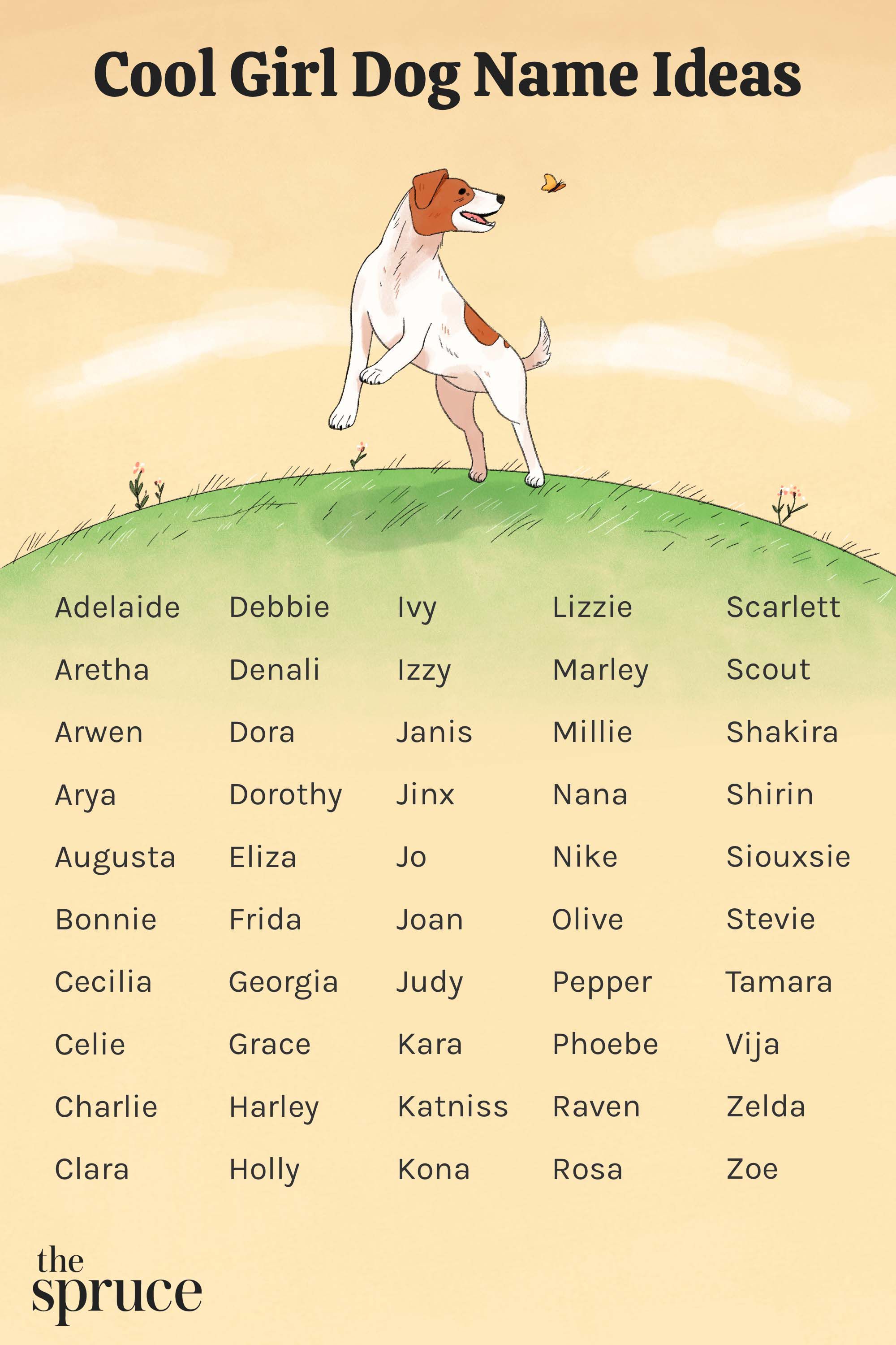 Hunting Dog Girl Names: Top Picks & Cute Ideas!