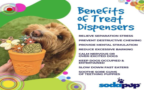 Best Treat Dispenser for Dogs: Keep Your Pup Entertained!