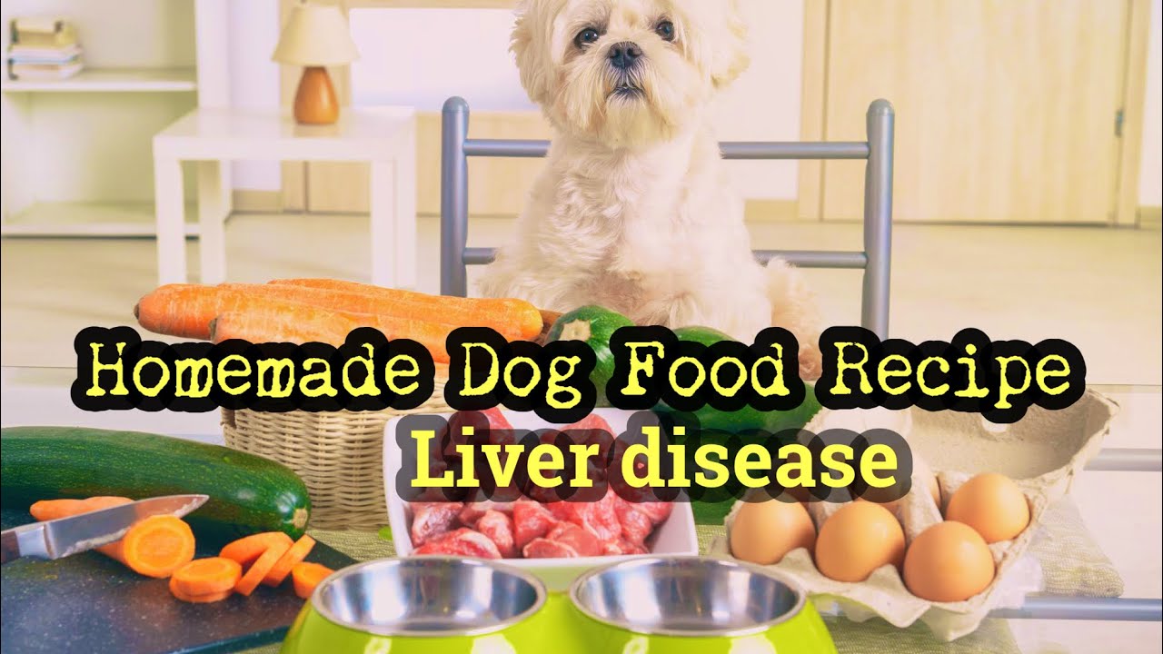 Homemade Dog Food Recipes for Liver Disease in Dogs