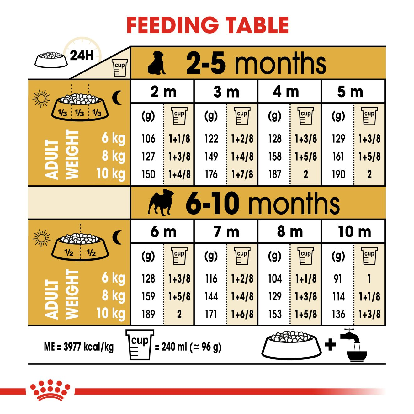 Pug Puppy Feeding Guide: How Much is Right for Your Pup?