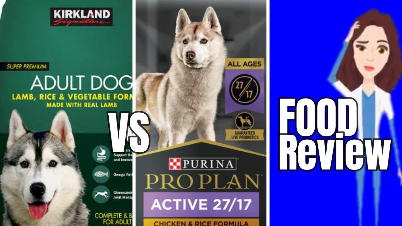 Purina Pro Plan or Kirkland Dog Food? A Simple Comparison Guide!