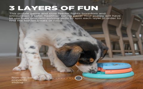 Dog Hiding Toys: Why They Do It & Is It a Problem?