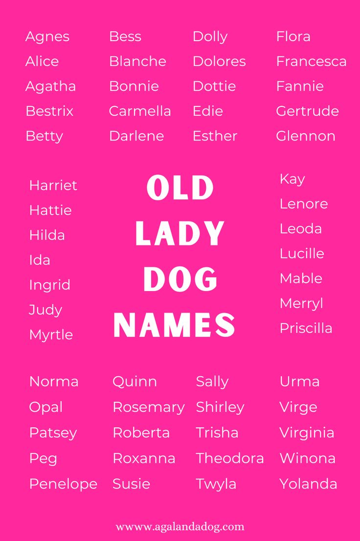 Red Female Dog Names: Classic and Creative Options