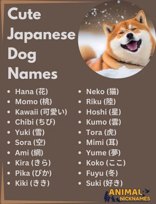 Best Cute Dog Names Asian: Unique and Meaningful Ideas.