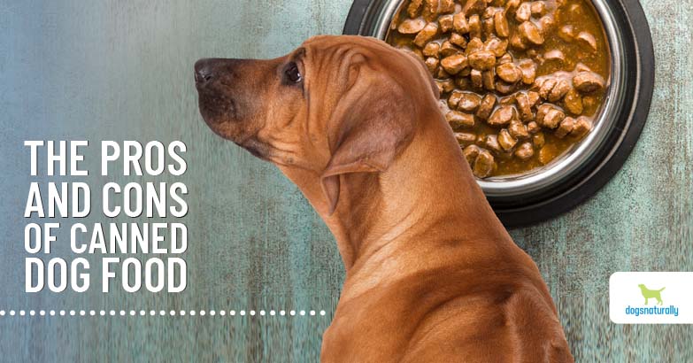 Choosing Wet Dog Food Without Carrageenan Made Easy.