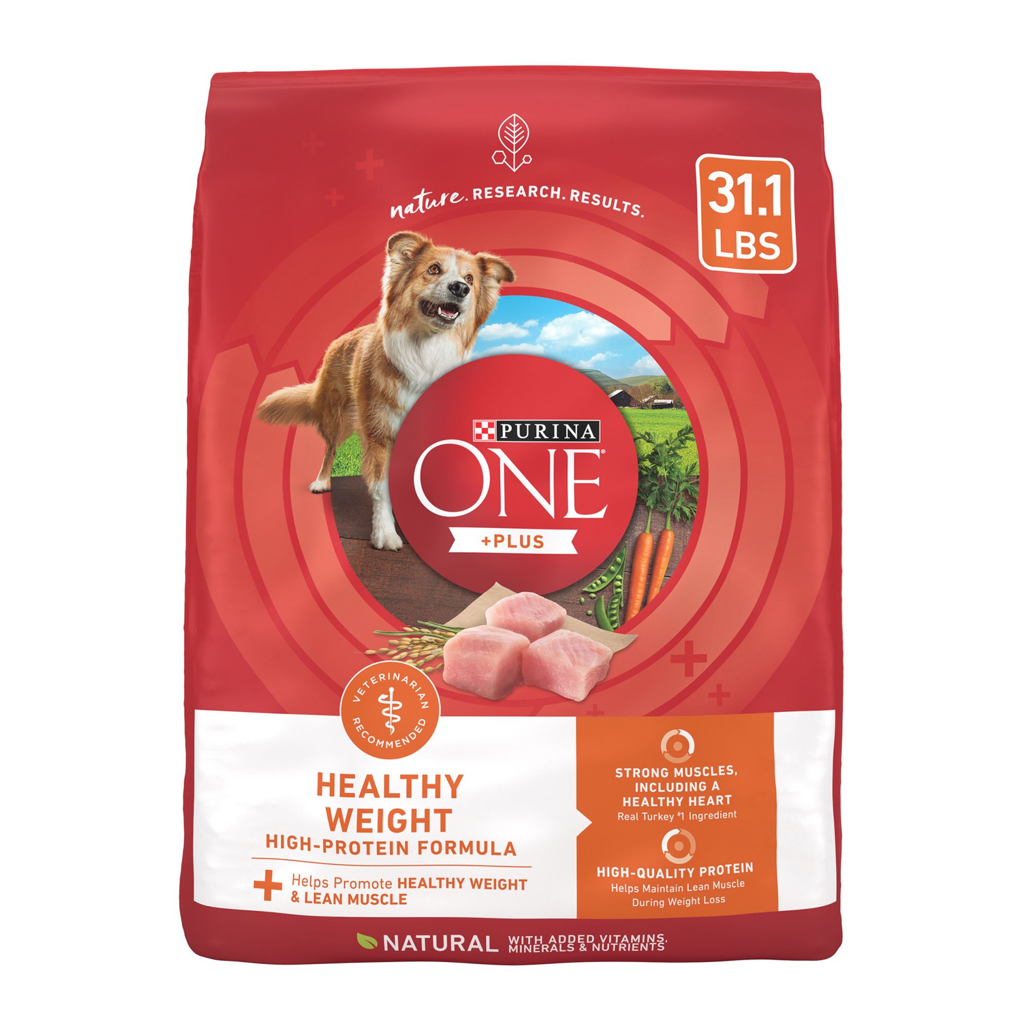 Purina ONE Plus Dog Food: Before You Buy, Check Out These Honest Reviews!