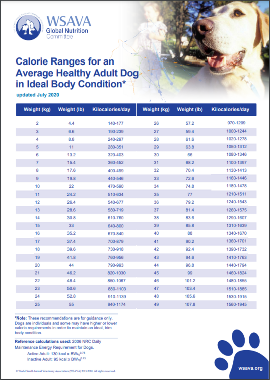 Find Wsava Compliant Dog Food: Complete List & Buyers Guide.