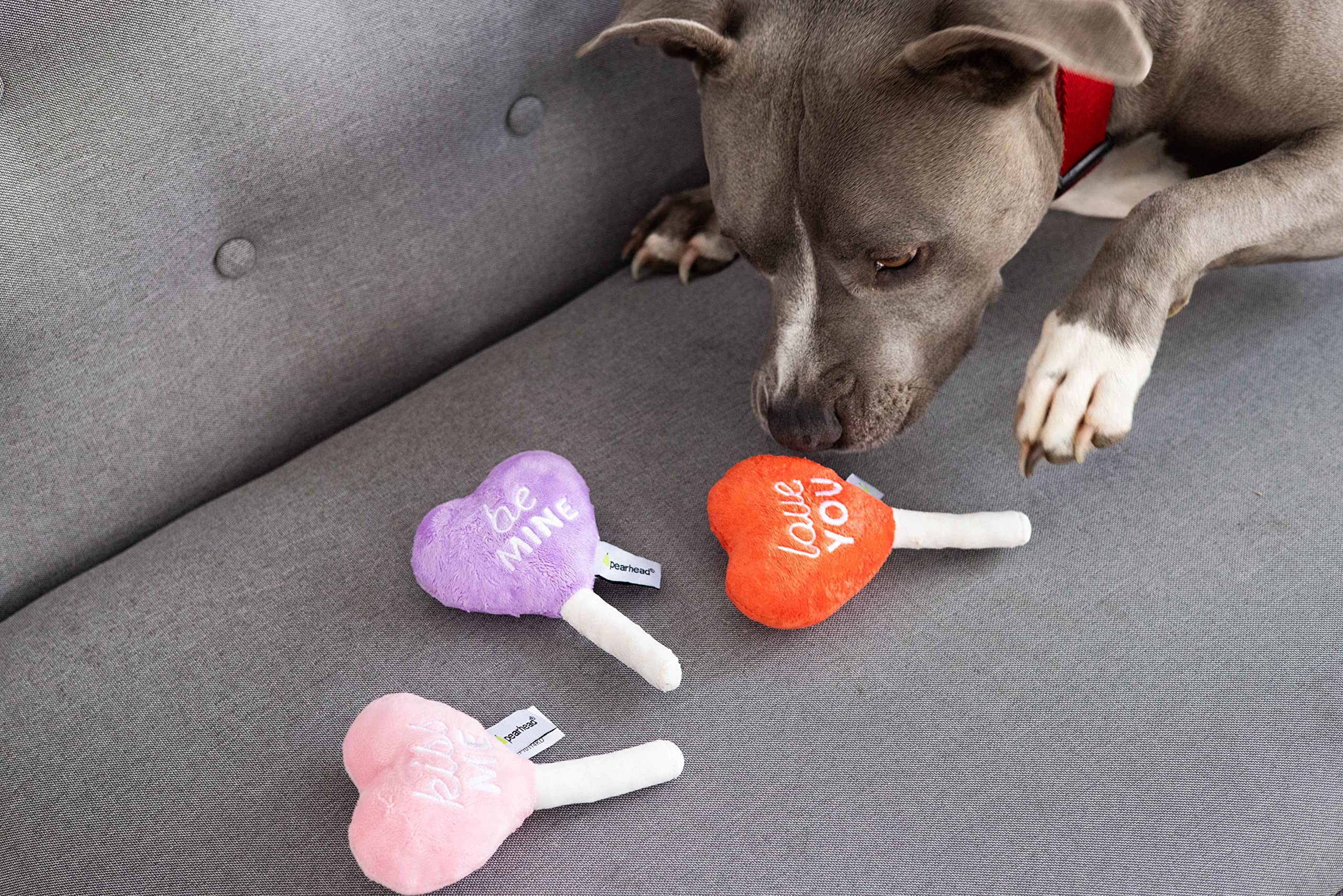 Valentines Day Dog Toys: Cute & Cheap Gift Ideas!