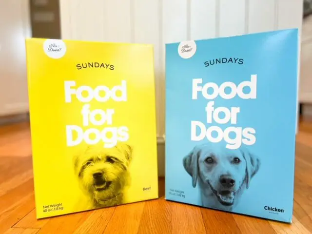 Sunday Dog Food: Price Check & Budgeting Tips 2024