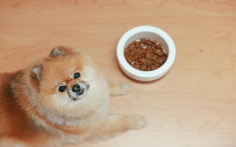 Dog Advisor Tender White Fish Dry Dog Food: Is It Right for Your Pup?