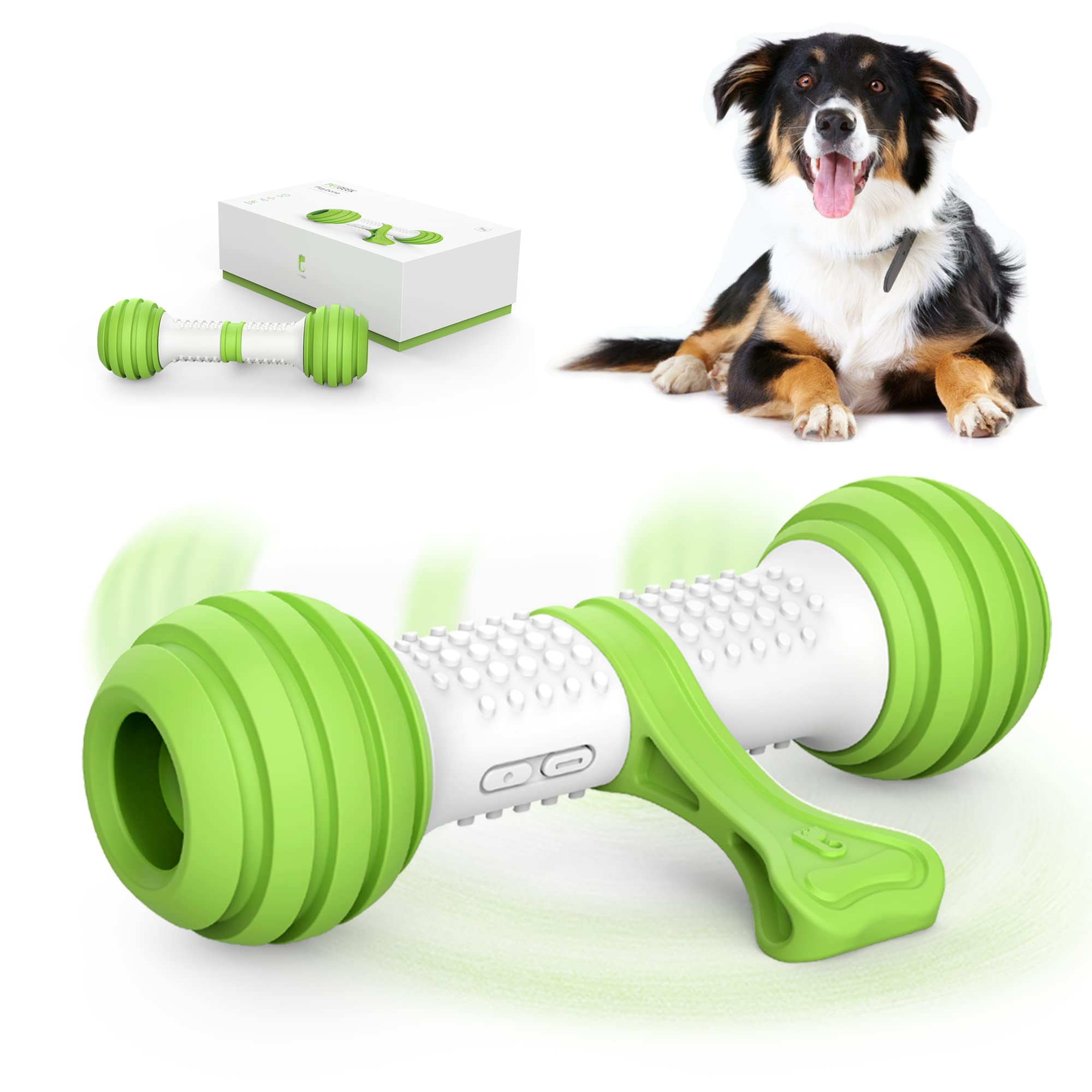 Need Indoor Dog Toys? Find Durable & Safe Choices Here!