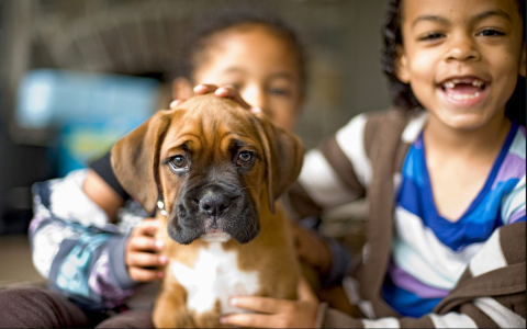 Dog names that start with M for males: Cool and popular ideas for your new puppy!