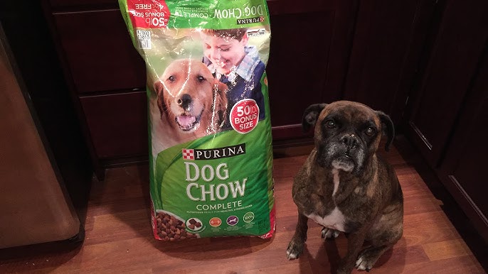 Dog Chow Dog Food Review: A Complete review for budget-conscious pet owners.