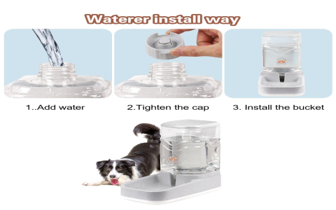 Gravity Water Dispenser for Dogs: Fresh, Clean Water All Day Long!