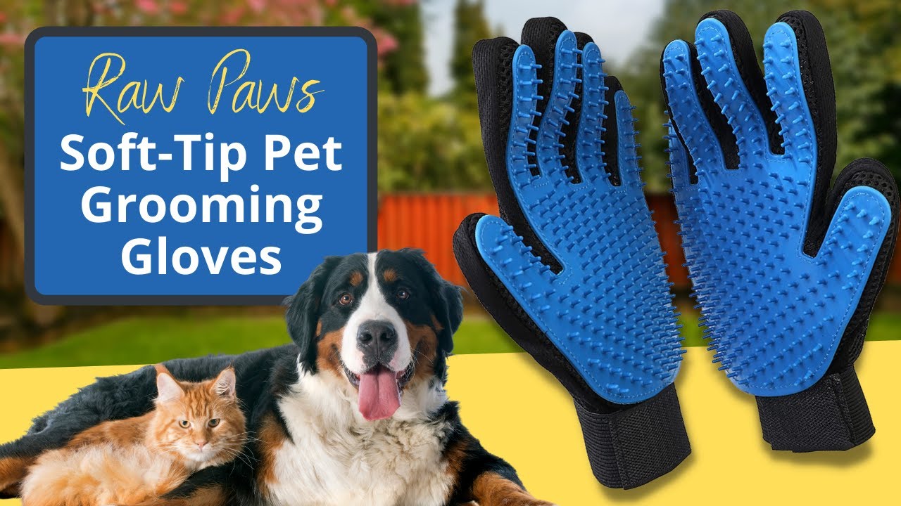 How to Use Deshedding Gloves for Dogs: Simple Tips