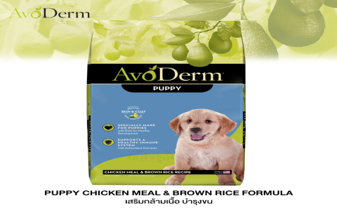 Avoderm Dog Food Reviews: What Real Dog Owners are Saying?