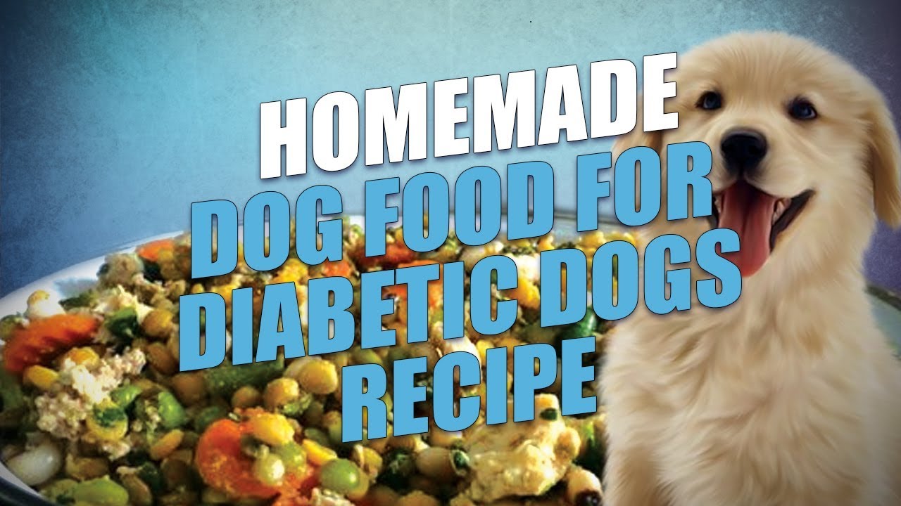 Homemade Food for Diabetic Dog: Easy Recipes & Tips