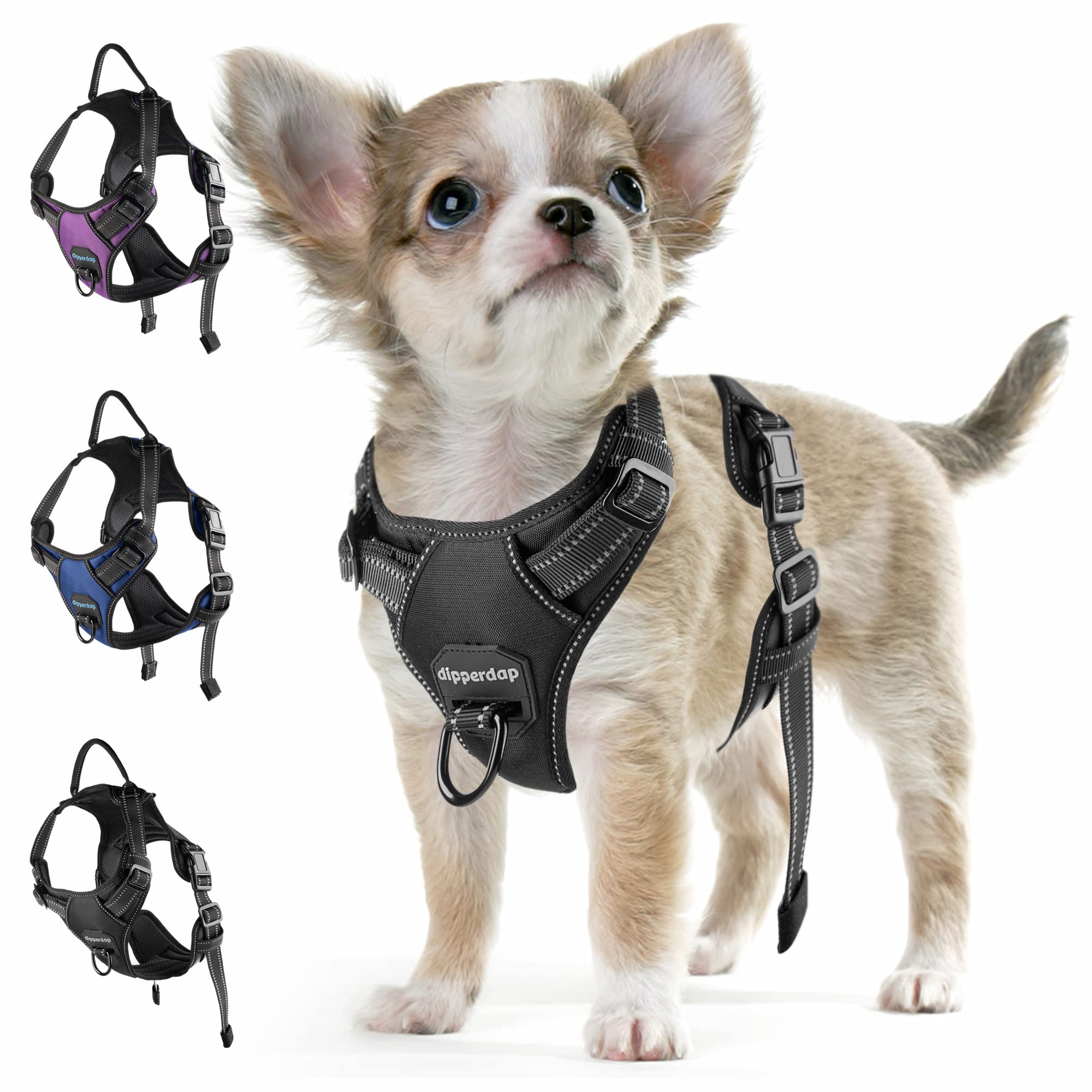 Little Dog, Big Comfort: Perfect Dog Harness for Toy Breeds and Tiny Dogs