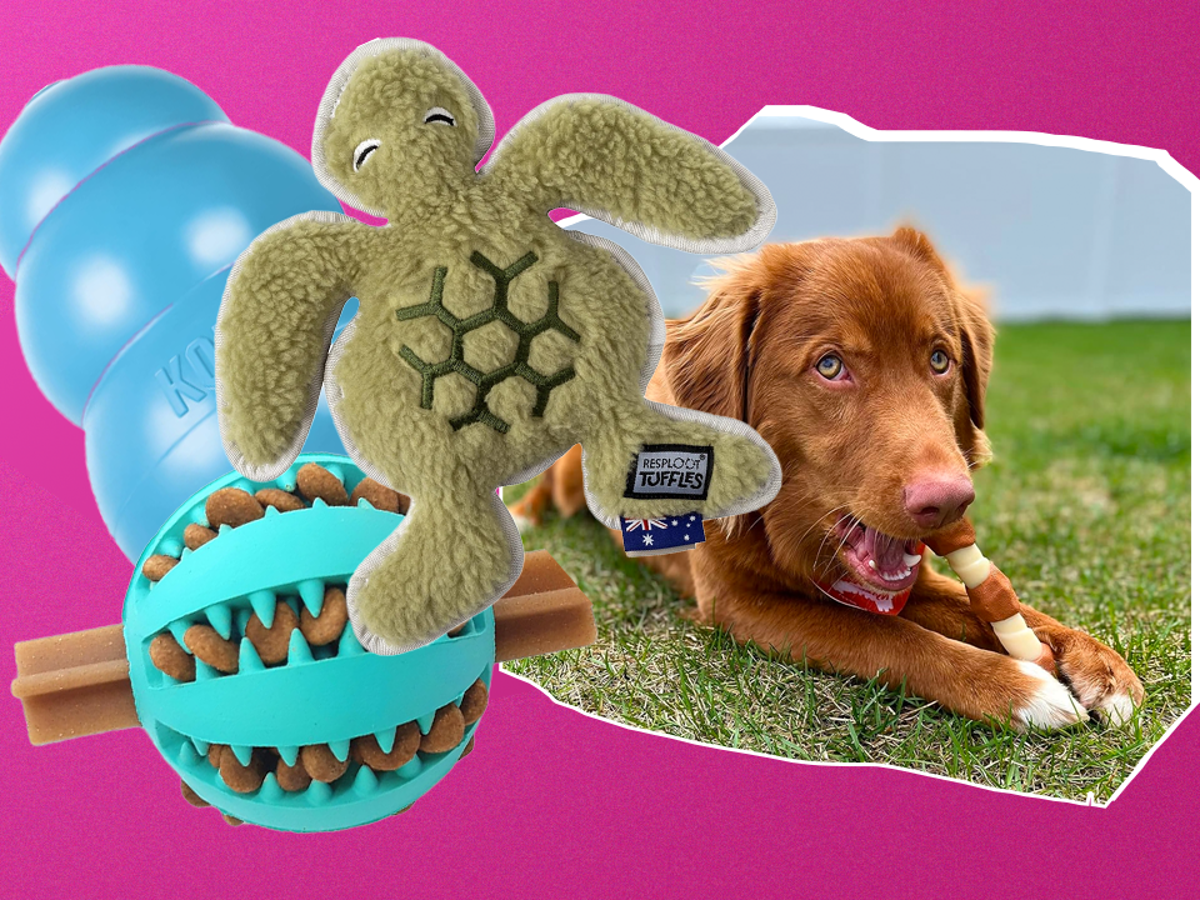 Entertaining Toys for Dogs with Gentle Chewing Needs