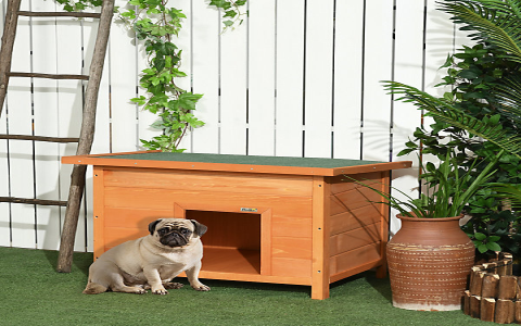 Best Dog Kennel Names: Top Picks for Your Dogs New Home!