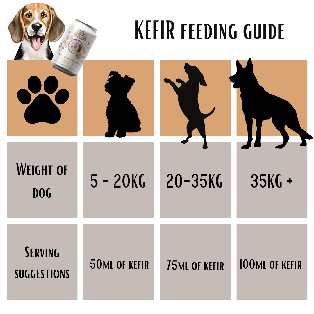 How much kefir should I give my dog? Get the best dosage here!