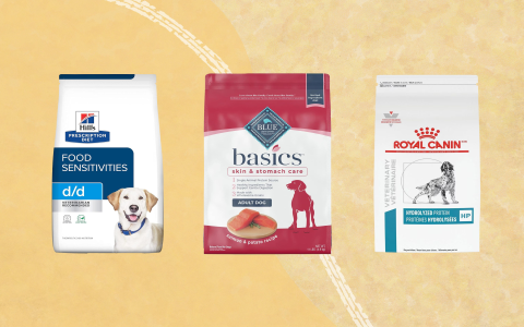 Purina Dog Food Reviews: Is It the Right Choice for Your Pup?