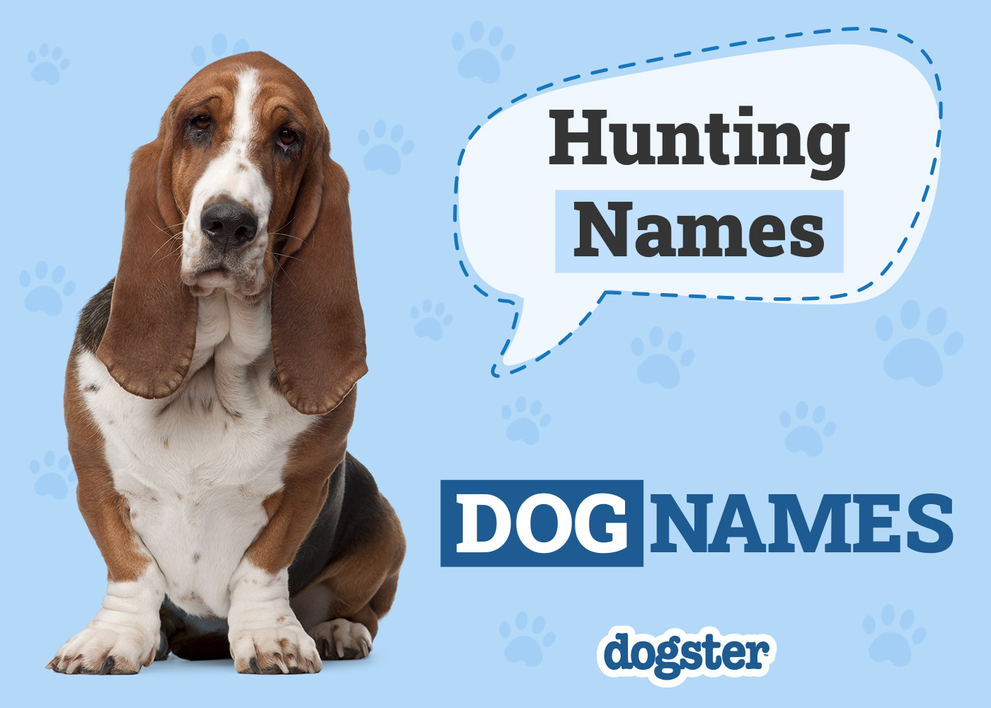 Duck Hunting Names for Dogs: Find the Perfect Name Here!