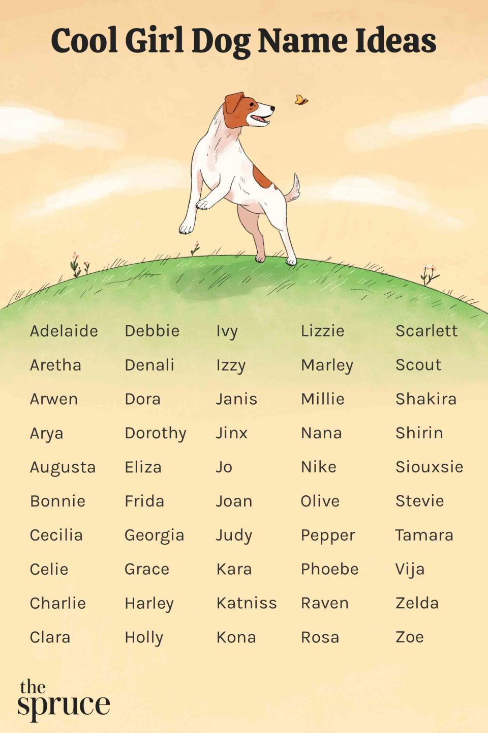 Unique Girl Dog Middle Names: Cool,Cute,and Stylish options.