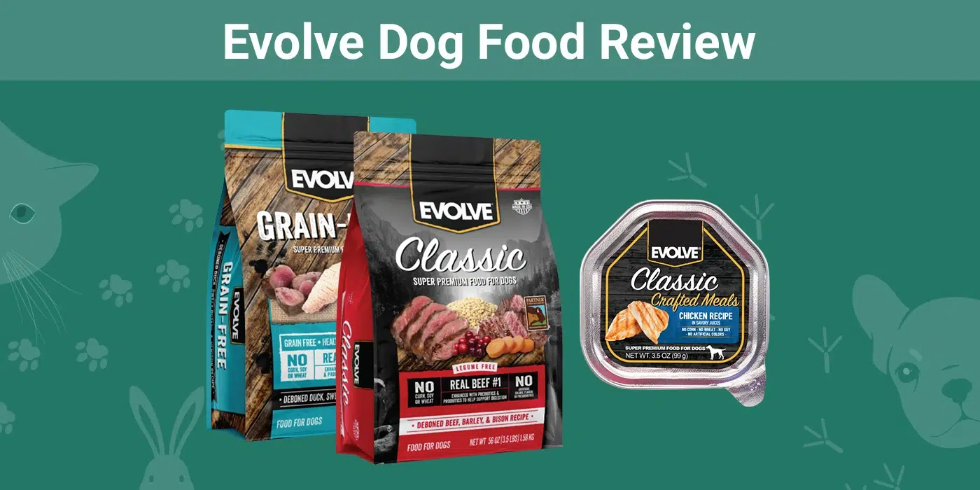 Evolve Dog Food Review: Is It Worth the Hype? (Expert analysis)