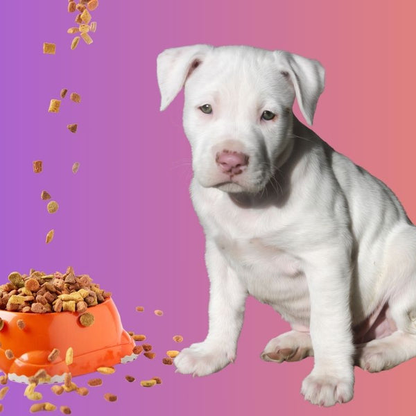 How much should my pitbull puppy eat: Get the Right Amount for a Healthy Pup!