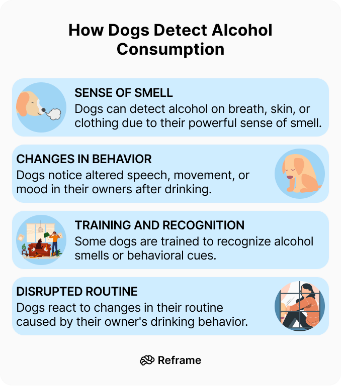 Drunk-Like Behavior in Puppies: Why It Happens & Is it safe?