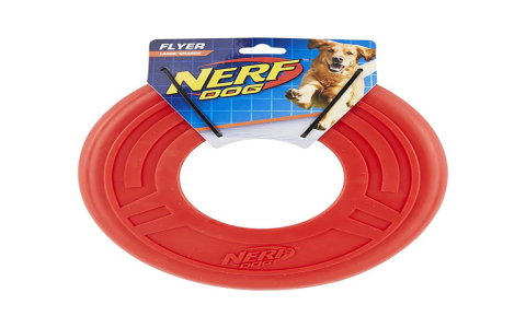 Best Water Toys for Dogs: Beat the Heat with These Cool Toys