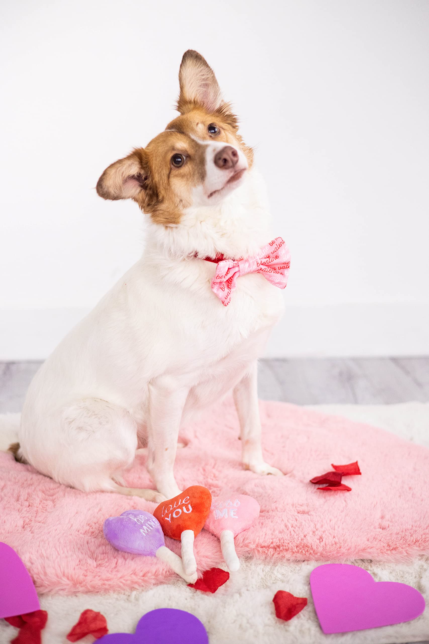 Valentines Day Dog Toys: Cute & Cheap Gift Ideas!