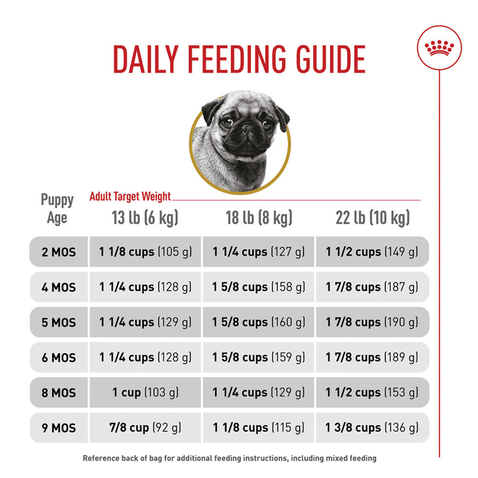 Pug Puppy Feeding Guide: How Much is Right for Your Pup?