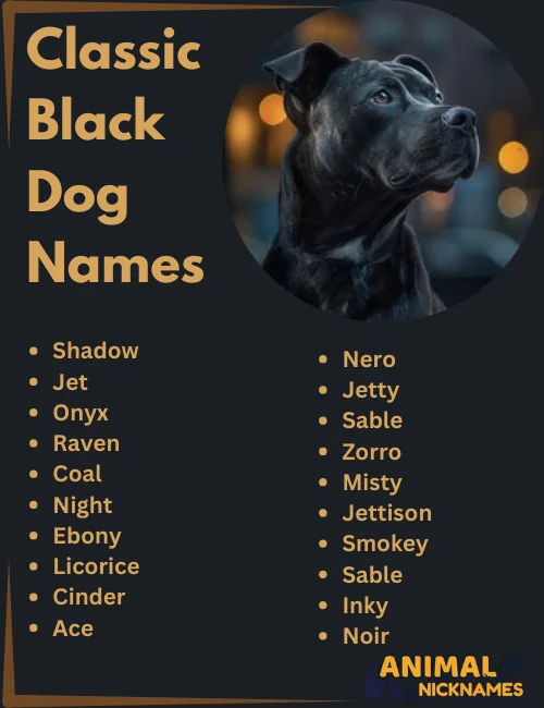 Top Diesel Dog Name List: Find the Perfect Fit for Your Dog!