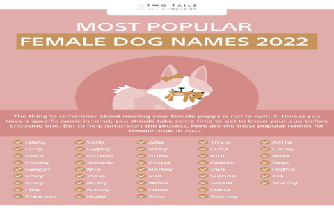 Best Maya Dog Names 2024 (Top Picks for Your Furry Friend)