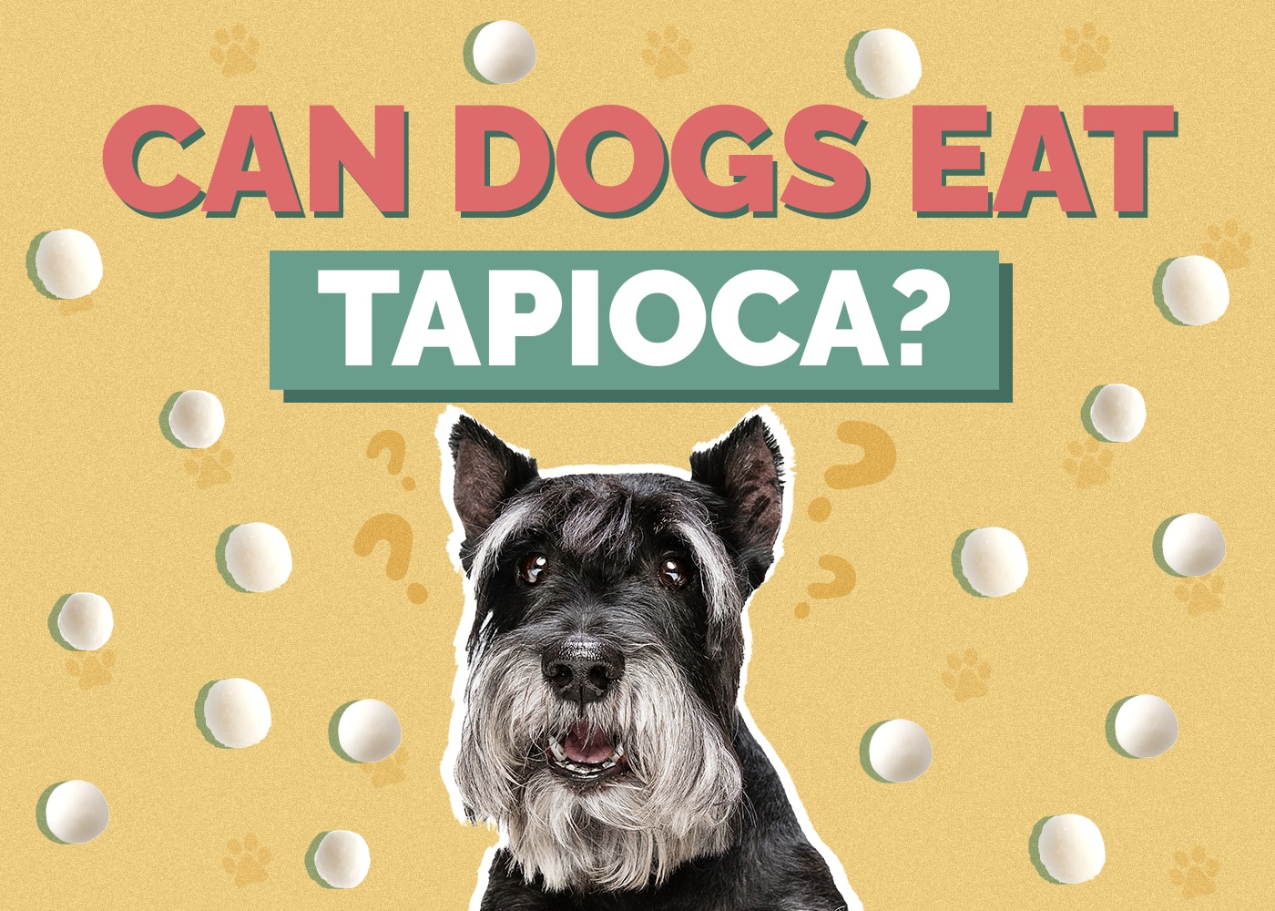 Is Tapioca Starch Good for Dogs? (Simple Owners Guide)