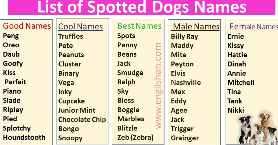 Unique Names for Puppies with Spots: The complete guide.