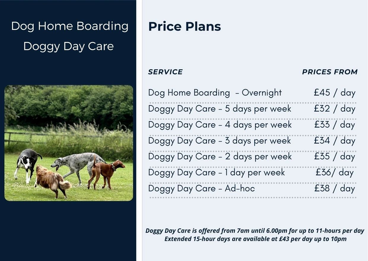 How much does dog daycare cost per day, week,or month? See Pricing Guide.